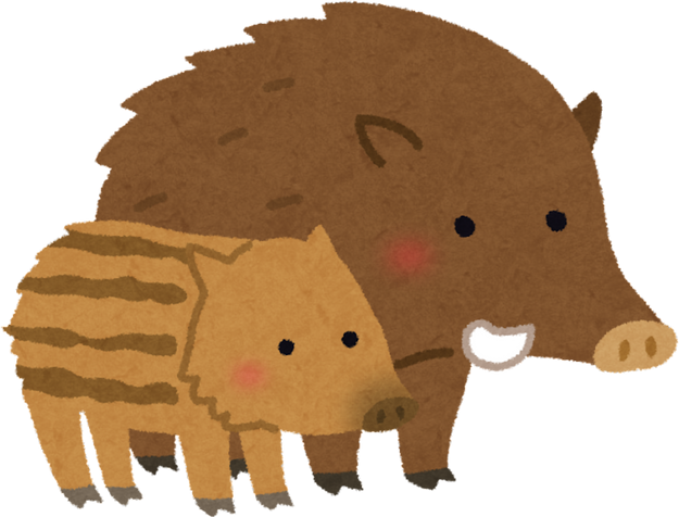 Illustration of a Wild Boar Parent and Child